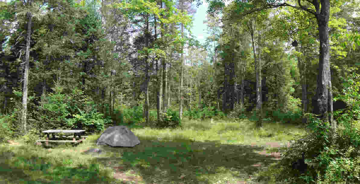 Roadside campsite Roadside campsite